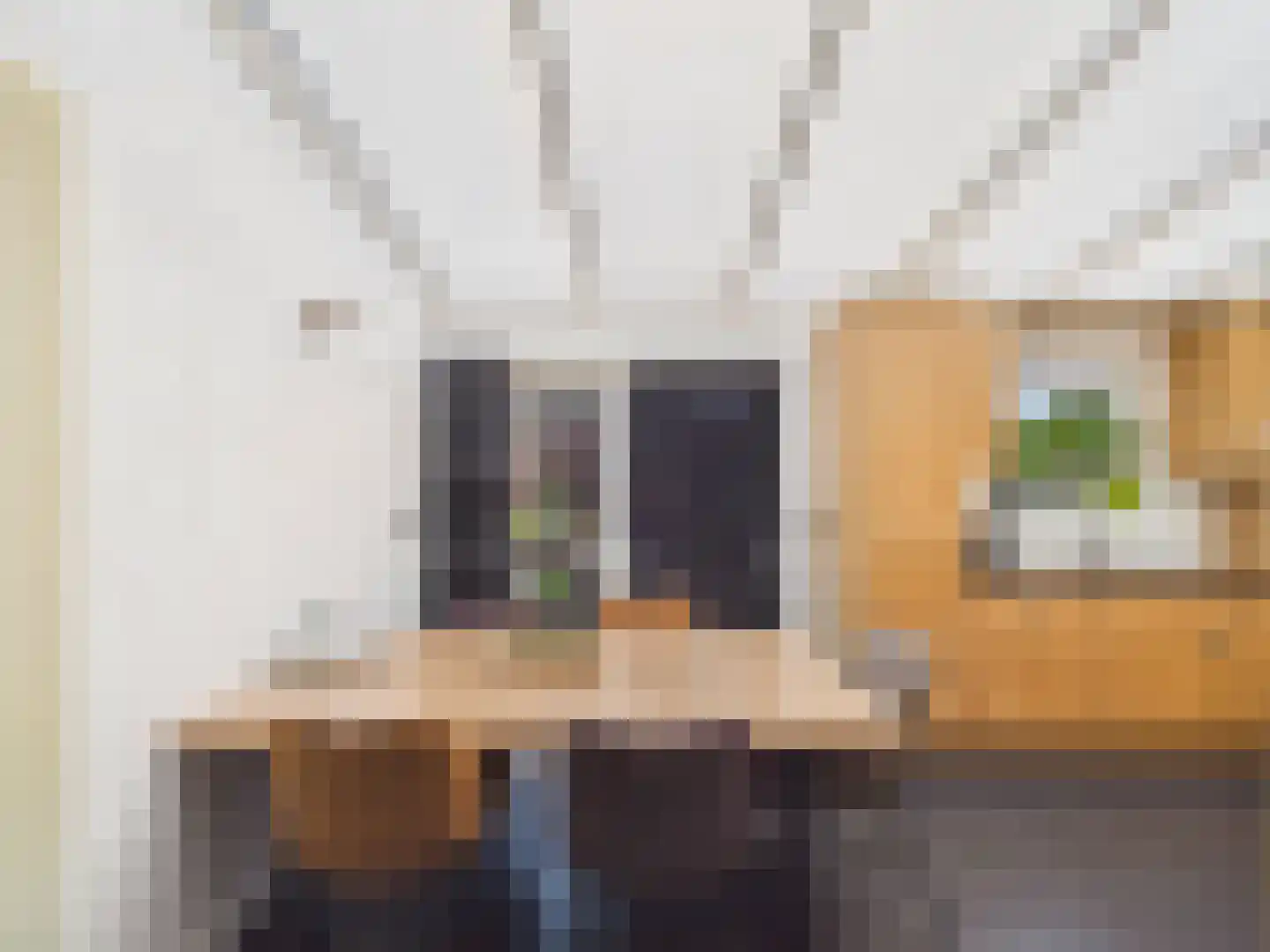 Visartstraat 52 Sluiskil thumbnail 9