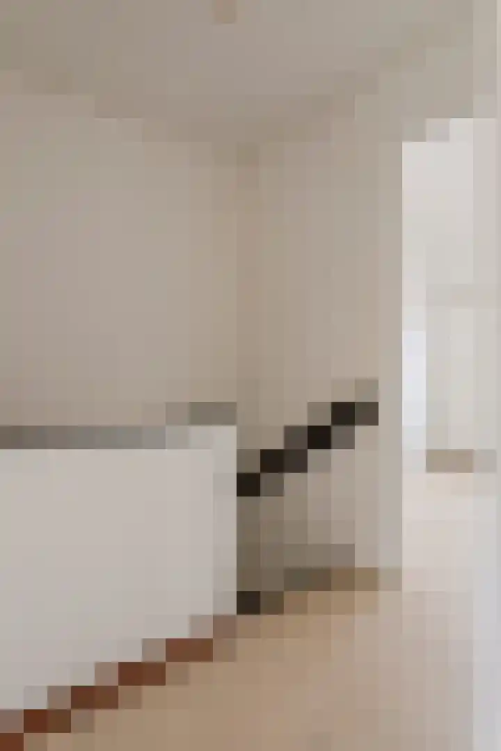 Visartstraat 9 Sluiskil thumbnail 11