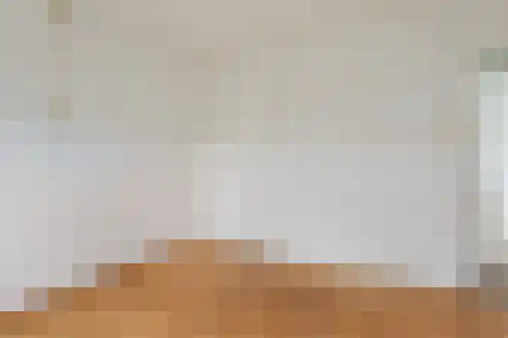 Visartstraat 9 Sluiskil thumbnail 19
