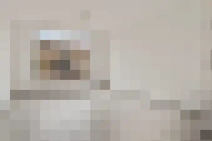 Visartstraat 9 Sluiskil thumbnail 4