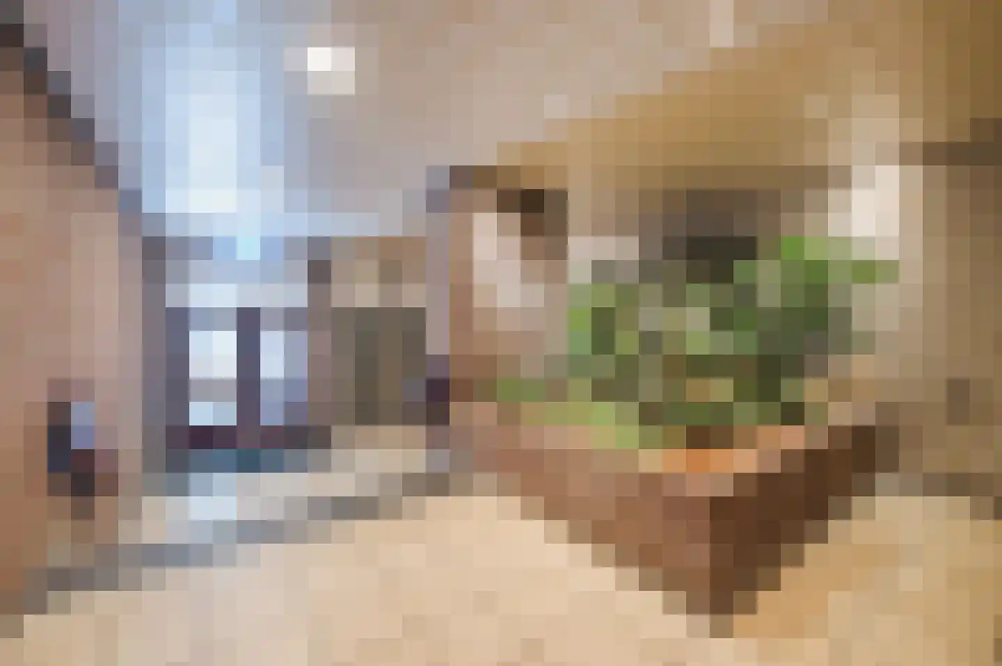 Visbankflat 19 Vlaardingen thumbnail 24
