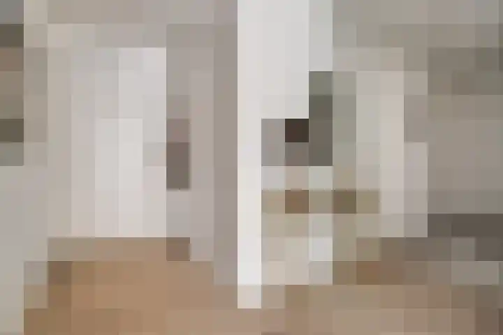 Visbrug 13 Hulst thumbnail 11