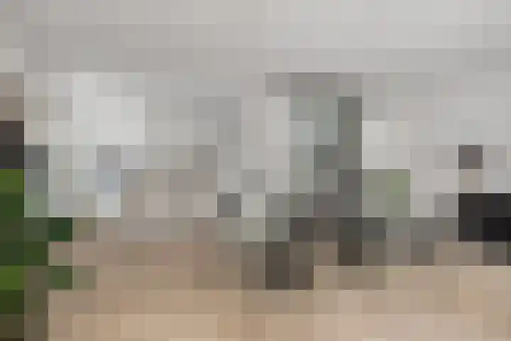 Visbrug 13 Hulst thumbnail 19