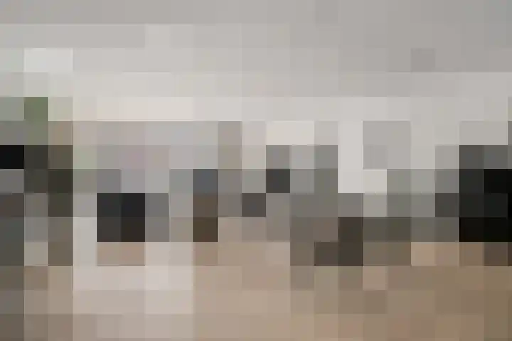 Visbrug 13 Hulst thumbnail 20