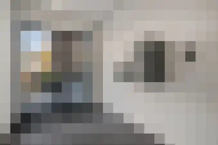Visbrug 13 Hulst thumbnail 9