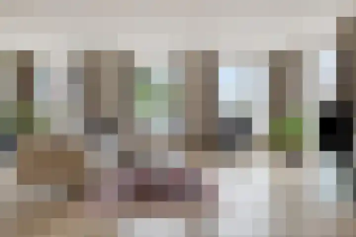 Visbrug 15 Hulst thumbnail 12