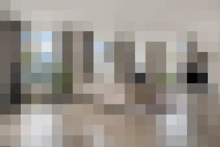 Visbrug 15 Hulst thumbnail 13
