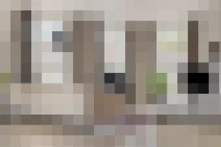 Visbrug 15 Hulst thumbnail 14