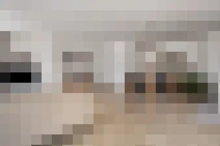 Visbrug 15 Hulst thumbnail 15