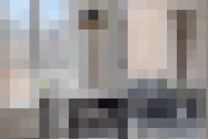 Visbrug 15 Hulst thumbnail 18
