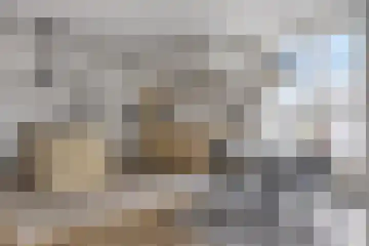 Visbrug 15 Hulst thumbnail 20