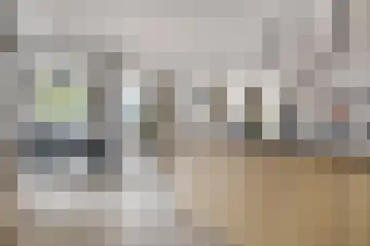 Visbrug 15 Hulst thumbnail 21