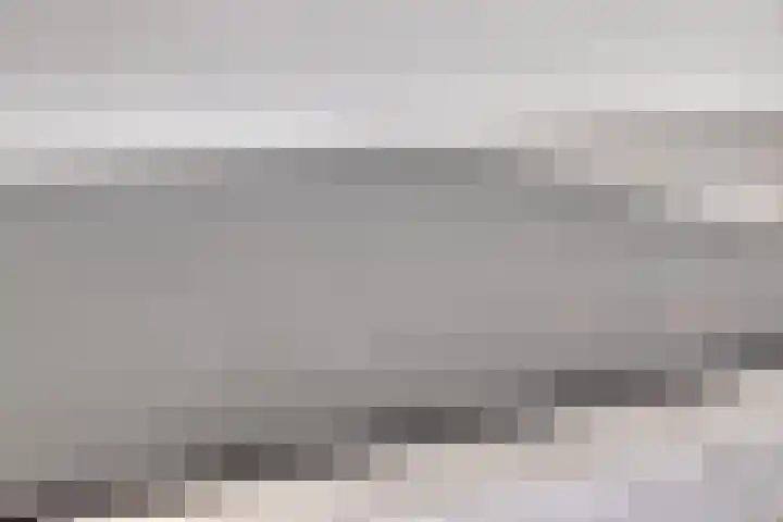 Visbrug 15 Hulst thumbnail 25