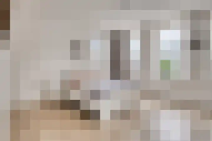 Visbrug 15 Hulst thumbnail 26