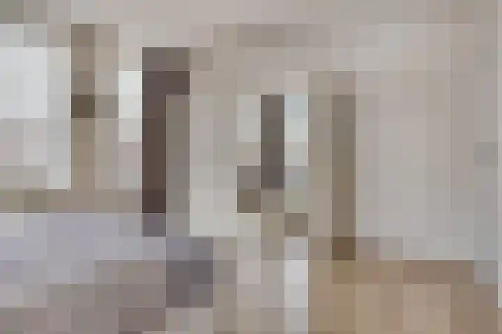 Visbrug 15 Hulst thumbnail 27