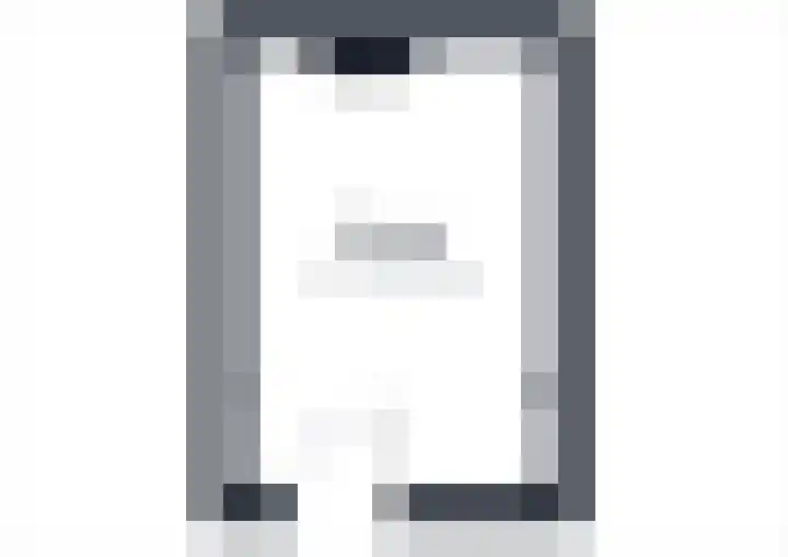 Visbrug 15 Hulst thumbnail 38