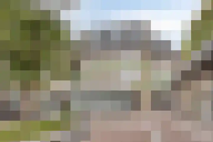Visbrug 15 Hulst thumbnail 39