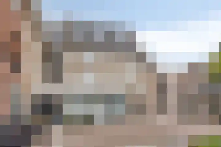 Visbrug 15 Hulst thumbnail 6
