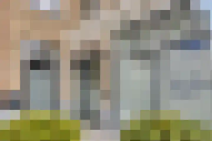 Visbrug 15 Hulst thumbnail 7