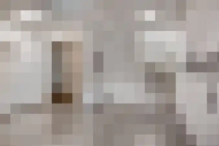 Visbrug 15 Hulst thumbnail 8