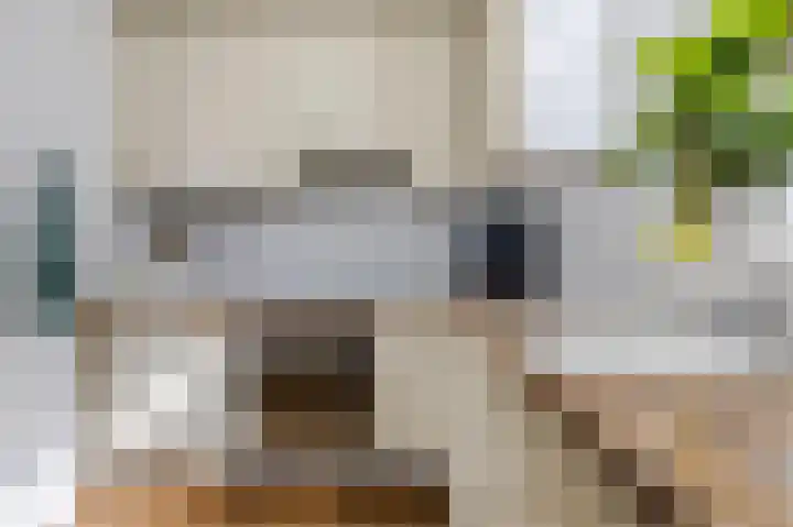 Visbyerf 47 Rotterdam thumbnail 13