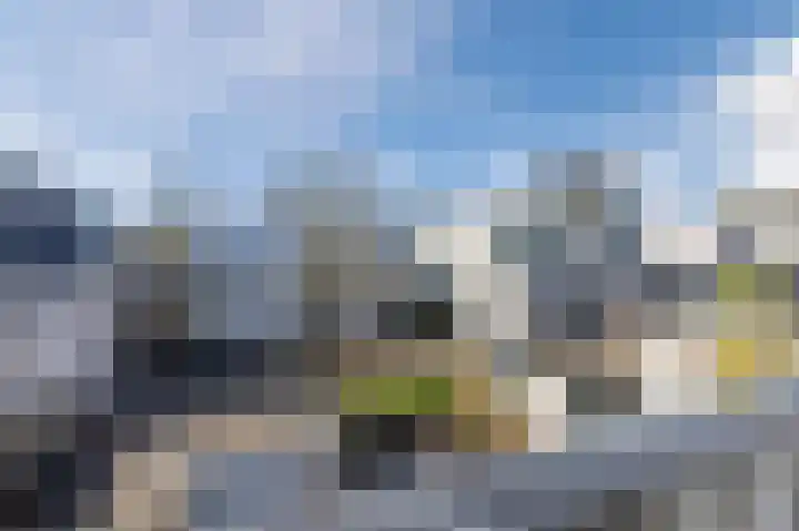 Visbyerf 47 Rotterdam thumbnail 36