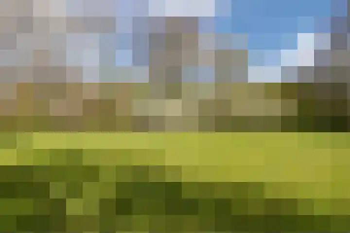 Visbyerf 47 Rotterdam thumbnail 44