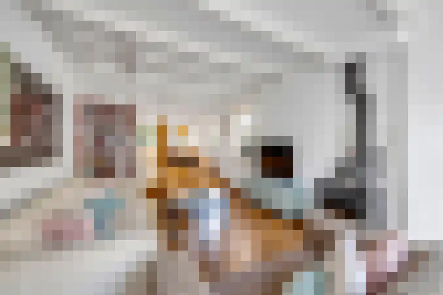 Vischstraat 4 Brielle thumbnail 12