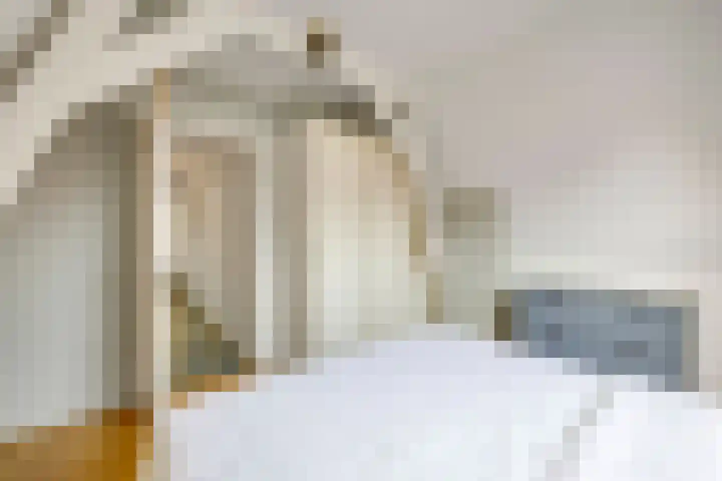 Vischstraat 4 Brielle thumbnail 20