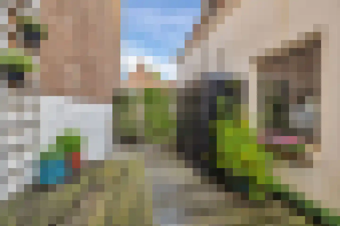 Vischstraat 4 Brielle thumbnail 26