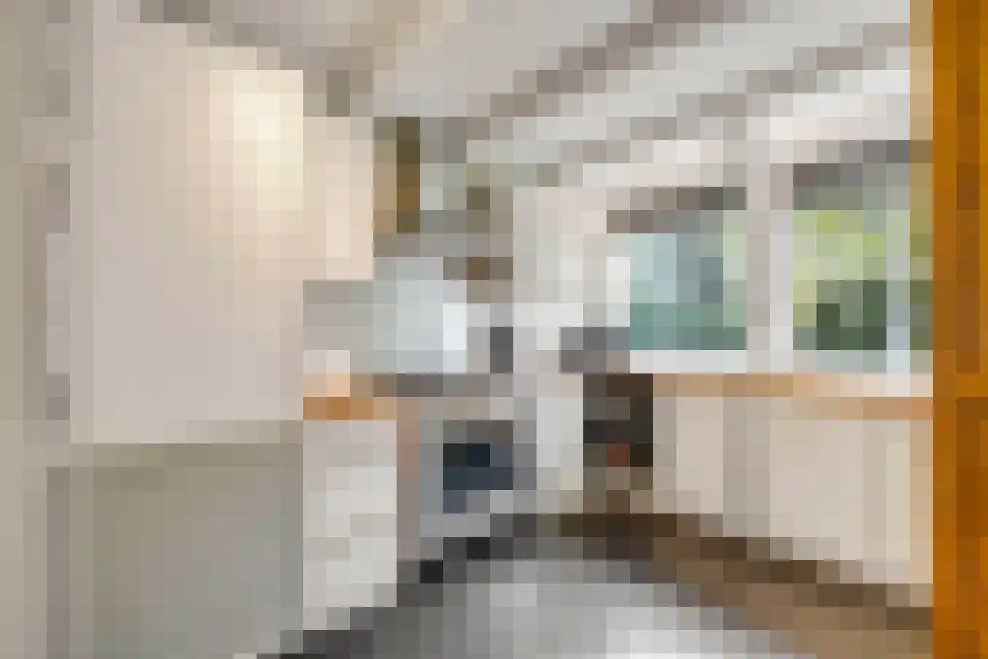 Vischstraat 4 Brielle thumbnail 4