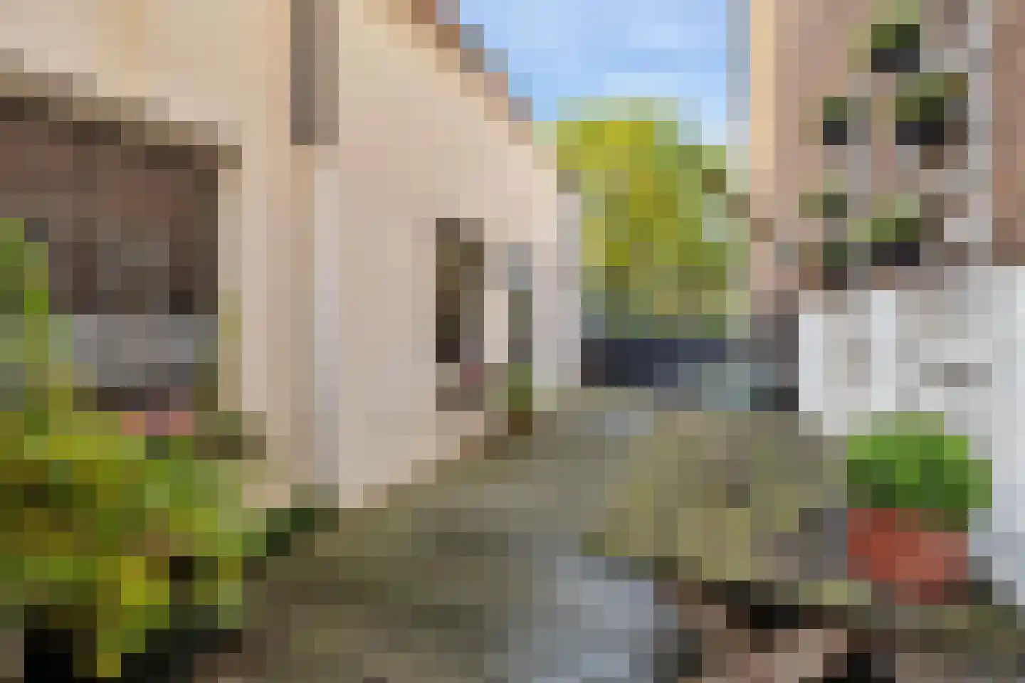 Vischstraat 4 Brielle thumbnail 6