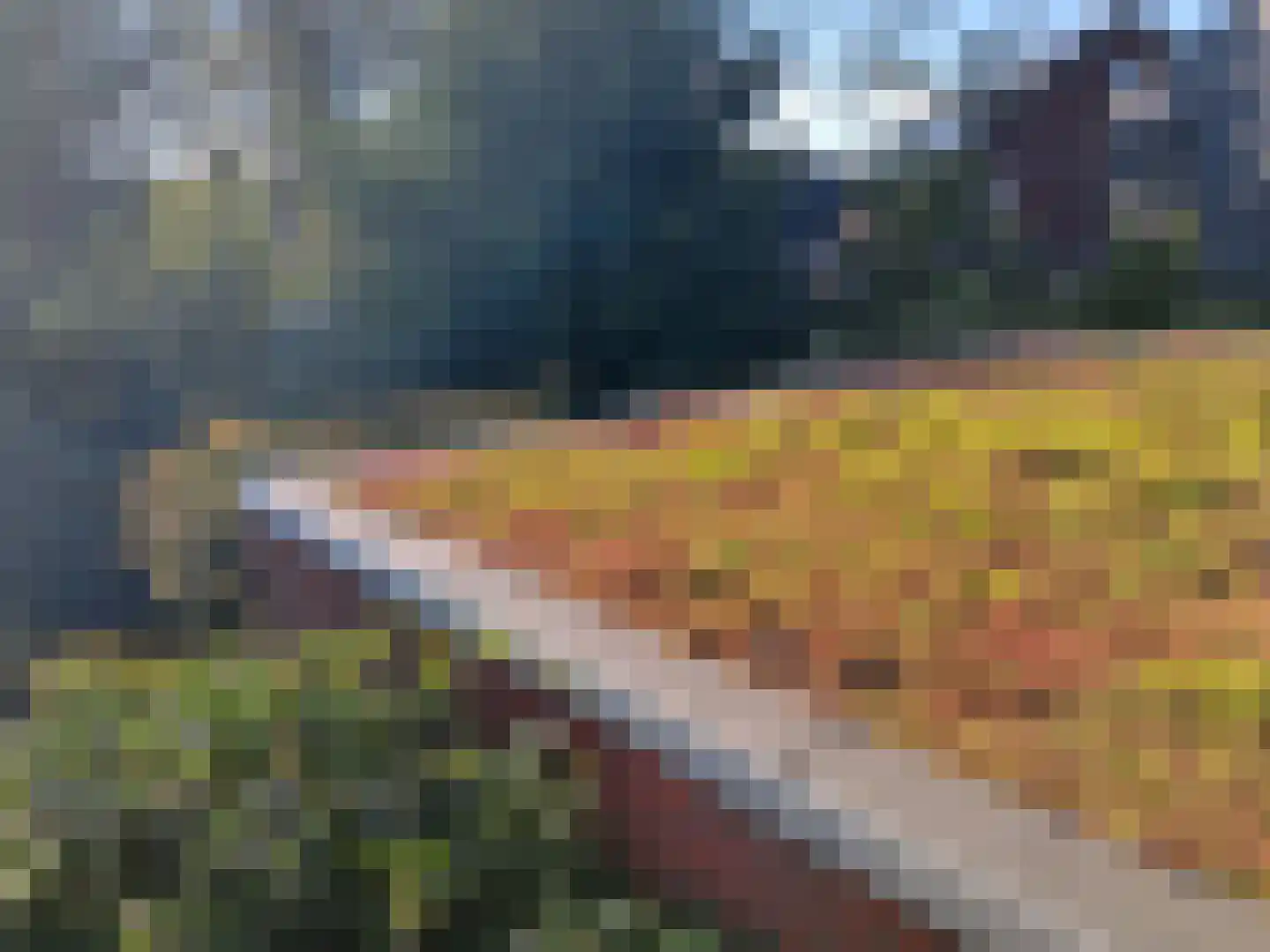 Viscoselaan 30 A Ede thumbnail 38