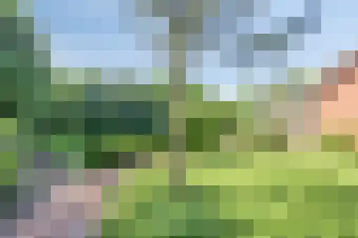 Visdonkseweg 6 Roosendaal thumbnail 33