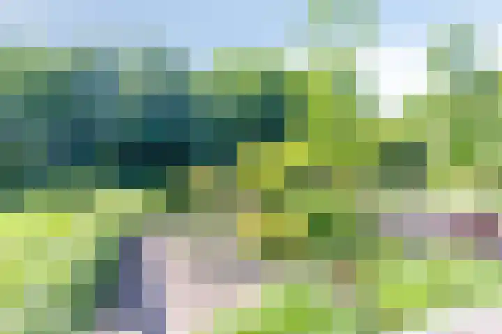 Visdonkseweg 6 Roosendaal thumbnail 34