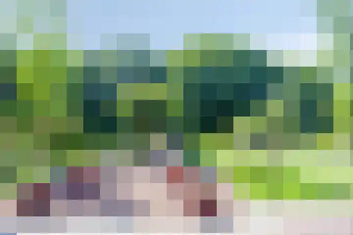 Visdonkseweg 6 Roosendaal thumbnail 35