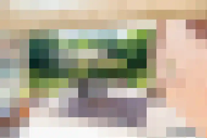 Visdonkseweg 6 Roosendaal thumbnail 37