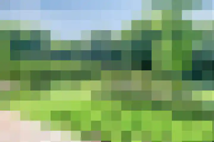 Visdonkseweg 6 Roosendaal thumbnail 38