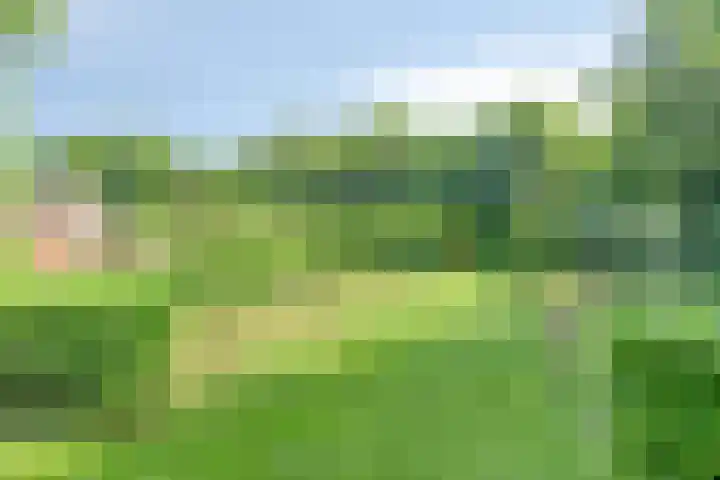 Visdonkseweg 6 Roosendaal thumbnail 39