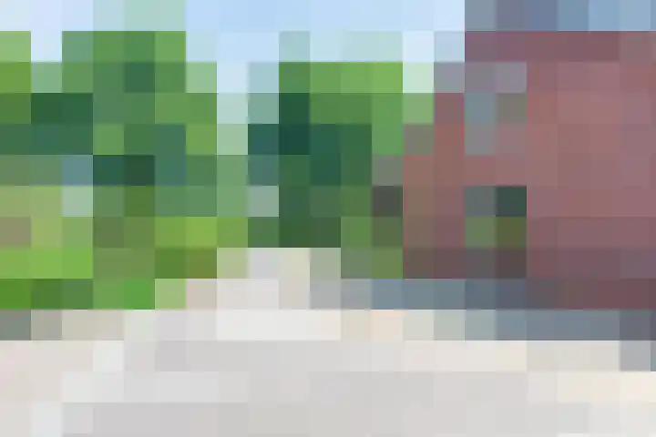Visdonkseweg 6 Roosendaal thumbnail 4