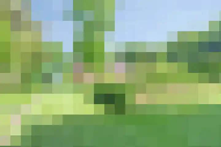 Visdonkseweg 6 Roosendaal thumbnail 40