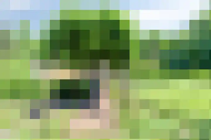 Visdonkseweg 6 Roosendaal thumbnail 41