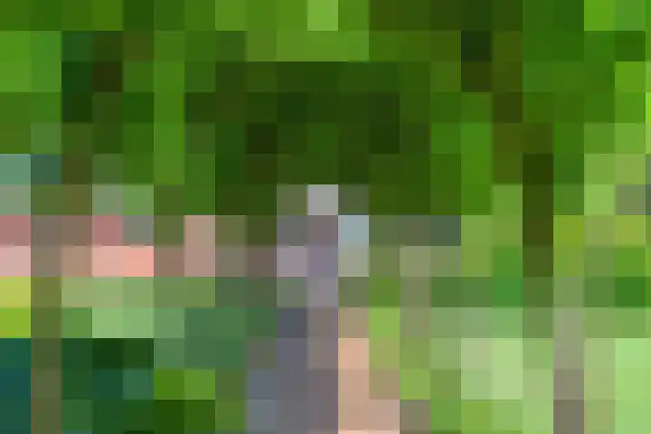 Visdonkseweg 6 Roosendaal thumbnail 42