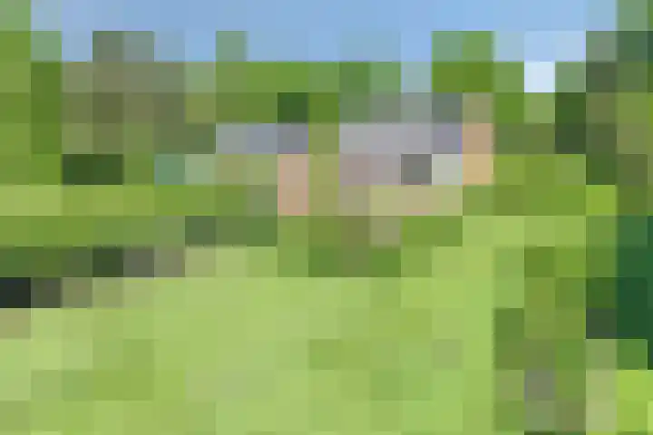 Visdonkseweg 6 Roosendaal thumbnail 44