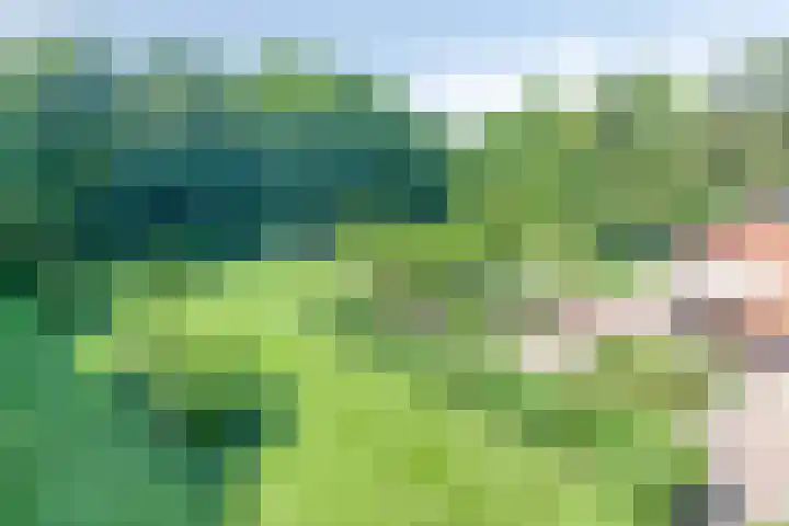 Visdonkseweg 6 Roosendaal thumbnail 45