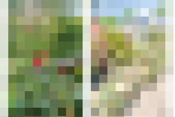 Visdonkseweg 6 Roosendaal thumbnail 46