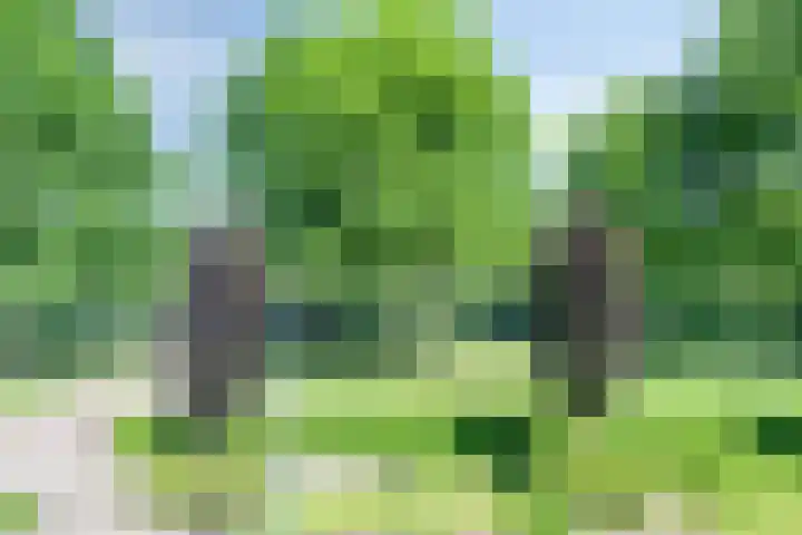 Visdonkseweg 6 Roosendaal thumbnail 47