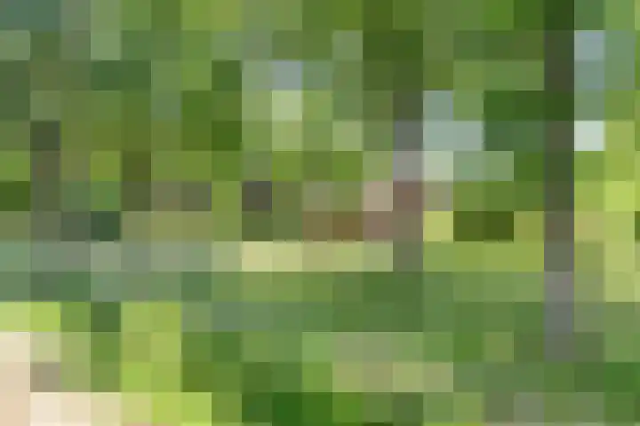Visdonkseweg 6 Roosendaal thumbnail 48