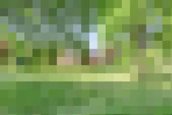 Visdonkseweg 6 Roosendaal thumbnail 49