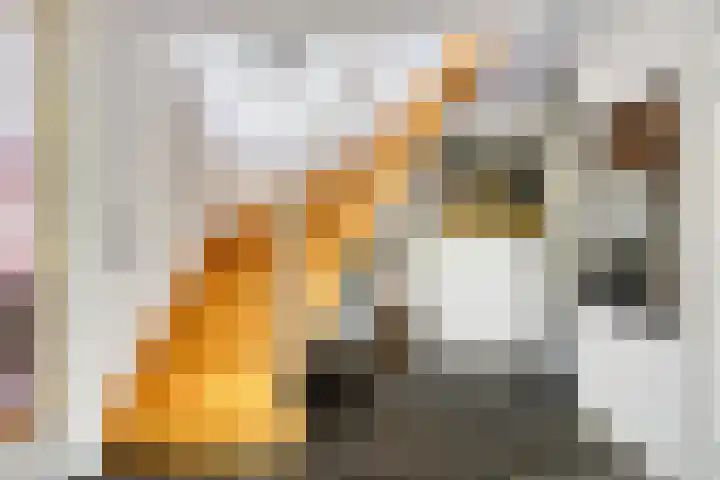 Visdonkseweg 6 Roosendaal thumbnail 7